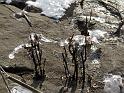 2012-02-01, Eisstrukturen (26)